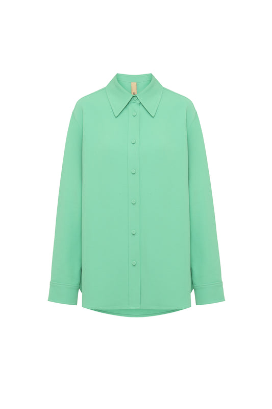 Slim fit blouse